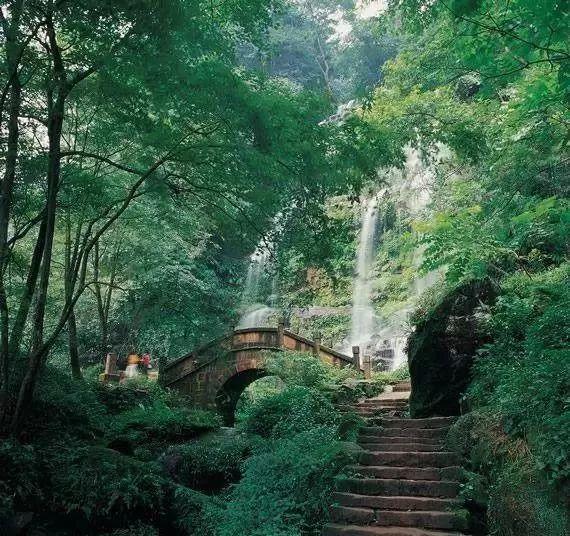 逃出蜜蜂岛